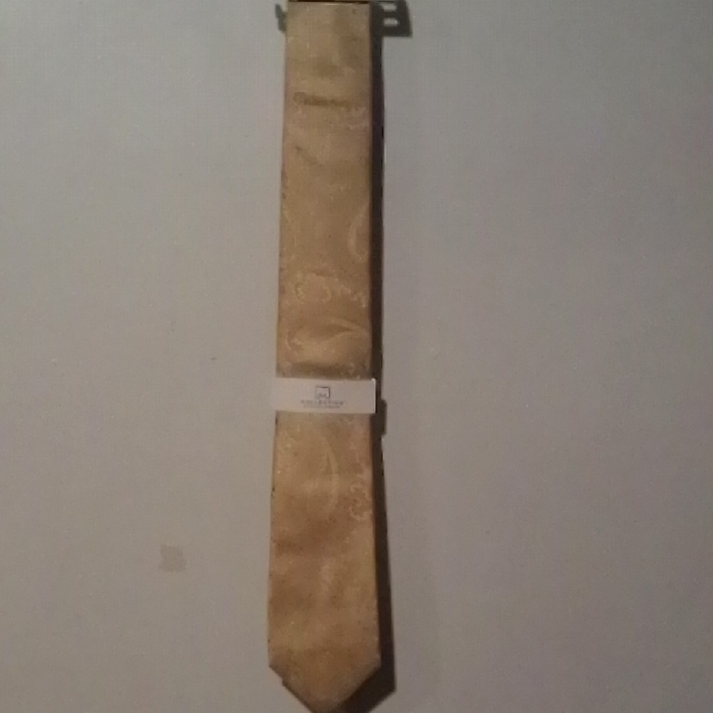 Gold Classic Tie Accessory